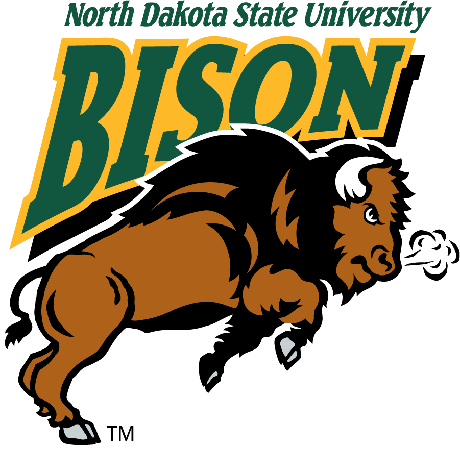 North Dakota State Bison 1999-2012 Alternate Logo v3 iron on transfers for T-shirts